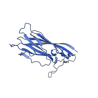 8972_6e30_Ad_v2-1
Mechanism of cellular recognition by PCV2