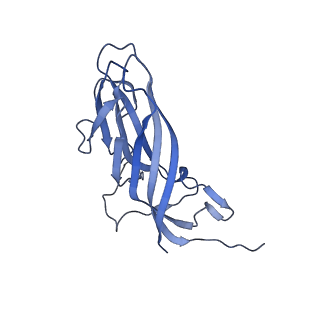 8972_6e30_Ai_v2-1
Mechanism of cellular recognition by PCV2