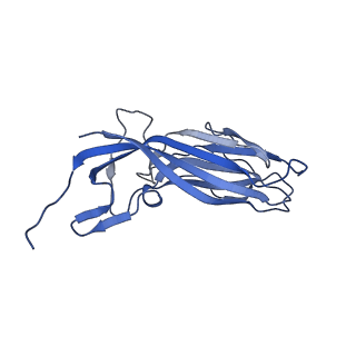 8972_6e30_Ap_v2-1
Mechanism of cellular recognition by PCV2