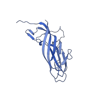 8972_6e30_Ax_v2-1
Mechanism of cellular recognition by PCV2