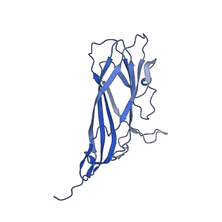 8973_6e32_A1_v2-1
Capsid protein of PCV2 with N,O6-DISULFO-GLUCOSAMINE