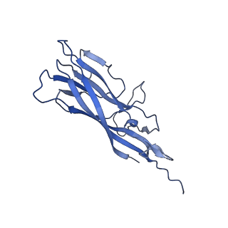 8973_6e32_A2_v1-2
Capsid protein of PCV2 with N,O6-DISULFO-GLUCOSAMINE