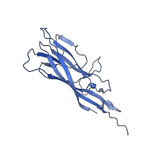 8973_6e32_A2_v2-1
Capsid protein of PCV2 with N,O6-DISULFO-GLUCOSAMINE