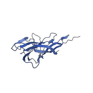 8973_6e32_A3_v2-0
Capsid protein of PCV2 with N,O6-DISULFO-GLUCOSAMINE
