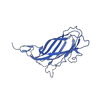 8973_6e32_A5_v2-1
Capsid protein of PCV2 with N,O6-DISULFO-GLUCOSAMINE