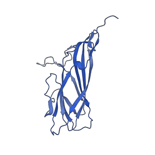 8973_6e32_A6_v2-1
Capsid protein of PCV2 with N,O6-DISULFO-GLUCOSAMINE