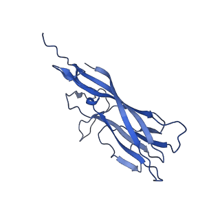 8973_6e32_A7_v1-2
Capsid protein of PCV2 with N,O6-DISULFO-GLUCOSAMINE