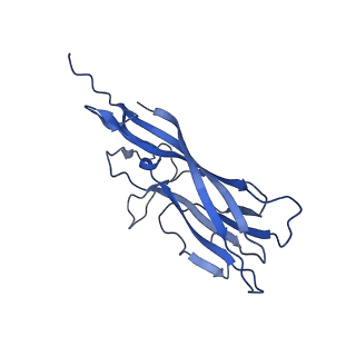 8973_6e32_A7_v2-0
Capsid protein of PCV2 with N,O6-DISULFO-GLUCOSAMINE