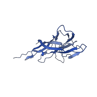 8973_6e32_A8_v1-2
Capsid protein of PCV2 with N,O6-DISULFO-GLUCOSAMINE