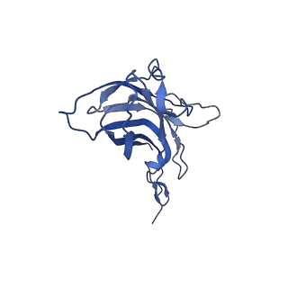 8973_6e32_A9_v2-1
Capsid protein of PCV2 with N,O6-DISULFO-GLUCOSAMINE