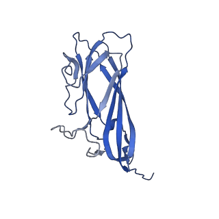 8973_6e32_AB_v1-2
Capsid protein of PCV2 with N,O6-DISULFO-GLUCOSAMINE