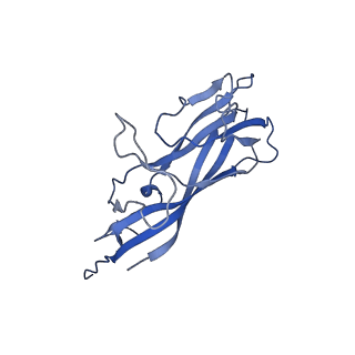 8973_6e32_AC_v1-2
Capsid protein of PCV2 with N,O6-DISULFO-GLUCOSAMINE