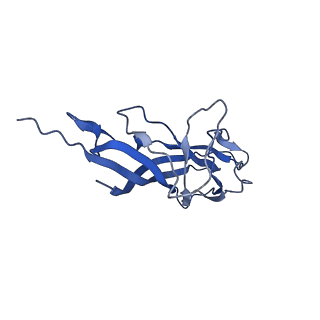 8973_6e32_AD_v1-2
Capsid protein of PCV2 with N,O6-DISULFO-GLUCOSAMINE