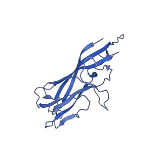 8973_6e32_AH_v2-1
Capsid protein of PCV2 with N,O6-DISULFO-GLUCOSAMINE