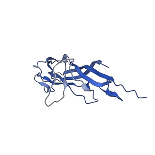 8973_6e32_AI_v1-2
Capsid protein of PCV2 with N,O6-DISULFO-GLUCOSAMINE