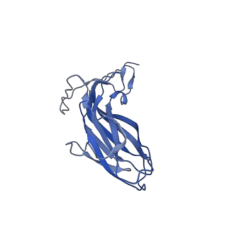8973_6e32_AM_v1-2
Capsid protein of PCV2 with N,O6-DISULFO-GLUCOSAMINE