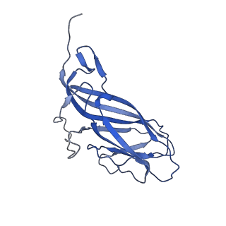 8973_6e32_AN_v1-2
Capsid protein of PCV2 with N,O6-DISULFO-GLUCOSAMINE