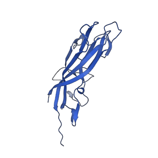 8973_6e32_AP_v1-2
Capsid protein of PCV2 with N,O6-DISULFO-GLUCOSAMINE