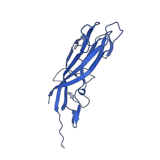 8973_6e32_AP_v2-1
Capsid protein of PCV2 with N,O6-DISULFO-GLUCOSAMINE