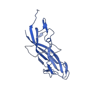 8973_6e32_AU_v2-1
Capsid protein of PCV2 with N,O6-DISULFO-GLUCOSAMINE