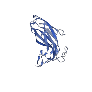 8973_6e32_AW_v2-1
Capsid protein of PCV2 with N,O6-DISULFO-GLUCOSAMINE