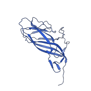 8973_6e32_AX_v2-1
Capsid protein of PCV2 with N,O6-DISULFO-GLUCOSAMINE