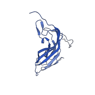 8973_6e32_Ab_v1-2
Capsid protein of PCV2 with N,O6-DISULFO-GLUCOSAMINE