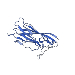 8973_6e32_Ad_v1-2
Capsid protein of PCV2 with N,O6-DISULFO-GLUCOSAMINE