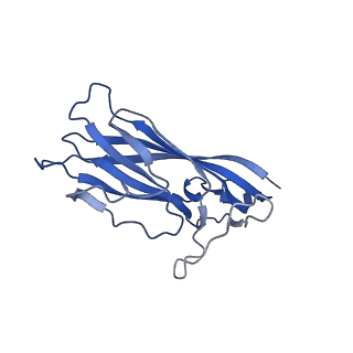 8973_6e32_Ad_v2-1
Capsid protein of PCV2 with N,O6-DISULFO-GLUCOSAMINE