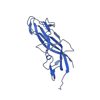 8973_6e32_Ae_v1-2
Capsid protein of PCV2 with N,O6-DISULFO-GLUCOSAMINE
