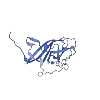 8973_6e32_Ag_v2-0
Capsid protein of PCV2 with N,O6-DISULFO-GLUCOSAMINE