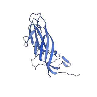 8973_6e32_Ai_v1-2
Capsid protein of PCV2 with N,O6-DISULFO-GLUCOSAMINE