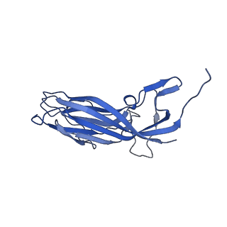 8973_6e32_Ak_v1-2
Capsid protein of PCV2 with N,O6-DISULFO-GLUCOSAMINE