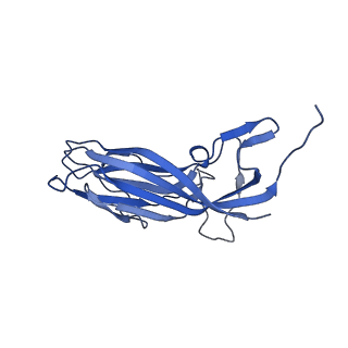 8973_6e32_Ak_v2-1
Capsid protein of PCV2 with N,O6-DISULFO-GLUCOSAMINE