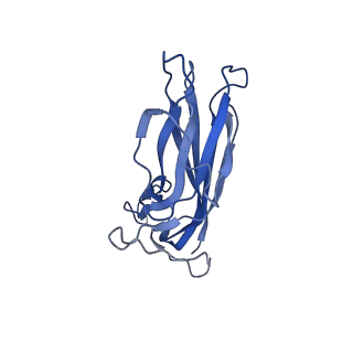 8973_6e32_Am_v1-2
Capsid protein of PCV2 with N,O6-DISULFO-GLUCOSAMINE