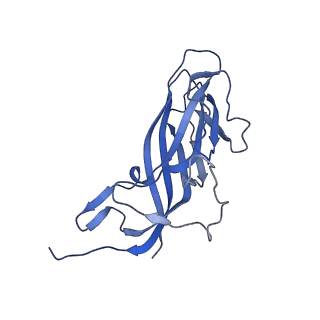 8973_6e32_An_v1-2
Capsid protein of PCV2 with N,O6-DISULFO-GLUCOSAMINE