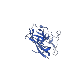 8973_6e32_Ao_v1-2
Capsid protein of PCV2 with N,O6-DISULFO-GLUCOSAMINE
