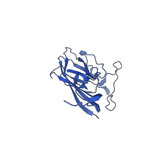 8973_6e32_Ao_v2-1
Capsid protein of PCV2 with N,O6-DISULFO-GLUCOSAMINE