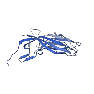8973_6e32_Ap_v1-2
Capsid protein of PCV2 with N,O6-DISULFO-GLUCOSAMINE