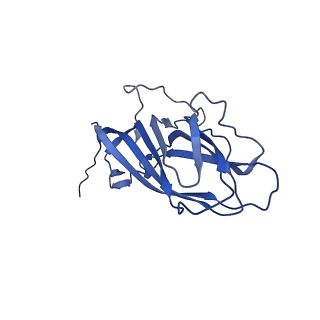 8973_6e32_Aq_v1-2
Capsid protein of PCV2 with N,O6-DISULFO-GLUCOSAMINE