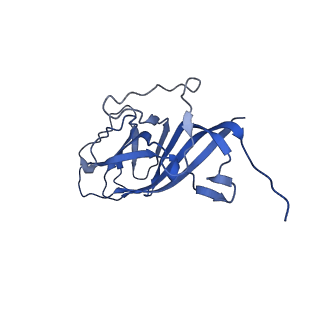 8973_6e32_Av_v1-2
Capsid protein of PCV2 with N,O6-DISULFO-GLUCOSAMINE