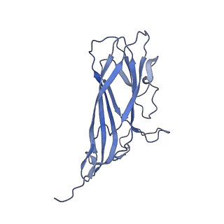 8974_6e34_A1_v2-1
Capsid protein of PCV2 with N,O6-DISULFO-GLUCOSAMINE and 2-O-sulfo-alpha-L-idopyranuronic acid