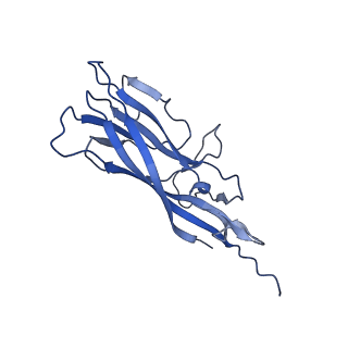8974_6e34_A2_v1-2
Capsid protein of PCV2 with N,O6-DISULFO-GLUCOSAMINE and 2-O-sulfo-alpha-L-idopyranuronic acid