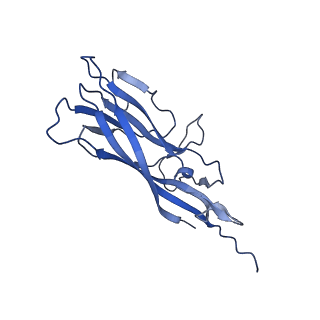 8974_6e34_A2_v2-1
Capsid protein of PCV2 with N,O6-DISULFO-GLUCOSAMINE and 2-O-sulfo-alpha-L-idopyranuronic acid