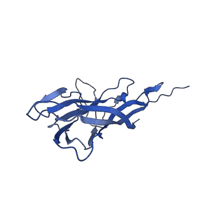 8974_6e34_A3_v1-2
Capsid protein of PCV2 with N,O6-DISULFO-GLUCOSAMINE and 2-O-sulfo-alpha-L-idopyranuronic acid