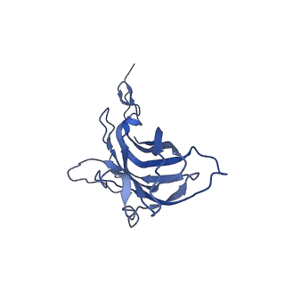 8974_6e34_A4_v2-1
Capsid protein of PCV2 with N,O6-DISULFO-GLUCOSAMINE and 2-O-sulfo-alpha-L-idopyranuronic acid