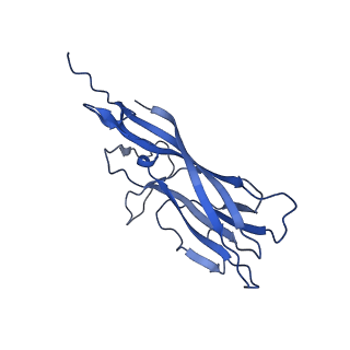 8974_6e34_A7_v1-2
Capsid protein of PCV2 with N,O6-DISULFO-GLUCOSAMINE and 2-O-sulfo-alpha-L-idopyranuronic acid