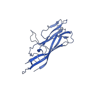 8974_6e34_AC_v1-2
Capsid protein of PCV2 with N,O6-DISULFO-GLUCOSAMINE and 2-O-sulfo-alpha-L-idopyranuronic acid
