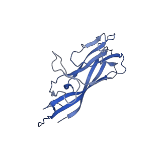 8974_6e34_AC_v2-0
Capsid protein of PCV2 with N,O6-DISULFO-GLUCOSAMINE and 2-O-sulfo-alpha-L-idopyranuronic acid