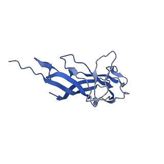 8974_6e34_AD_v1-2
Capsid protein of PCV2 with N,O6-DISULFO-GLUCOSAMINE and 2-O-sulfo-alpha-L-idopyranuronic acid